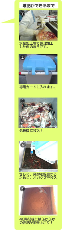 堆肥ができるまで